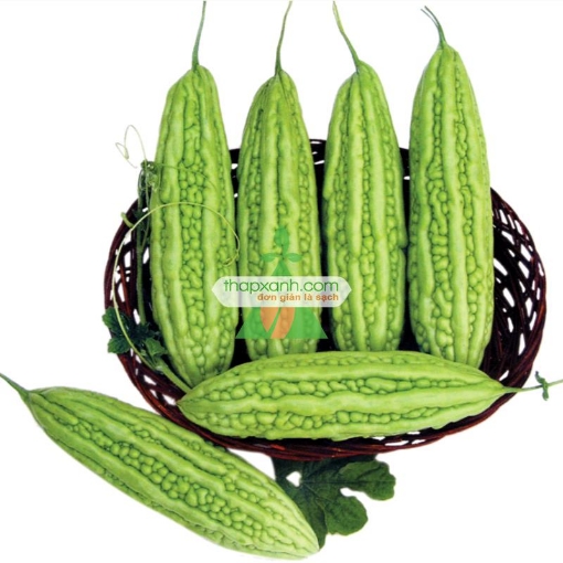 Gambar Hạt giống Mướp Đắng (Khổ  Qua)