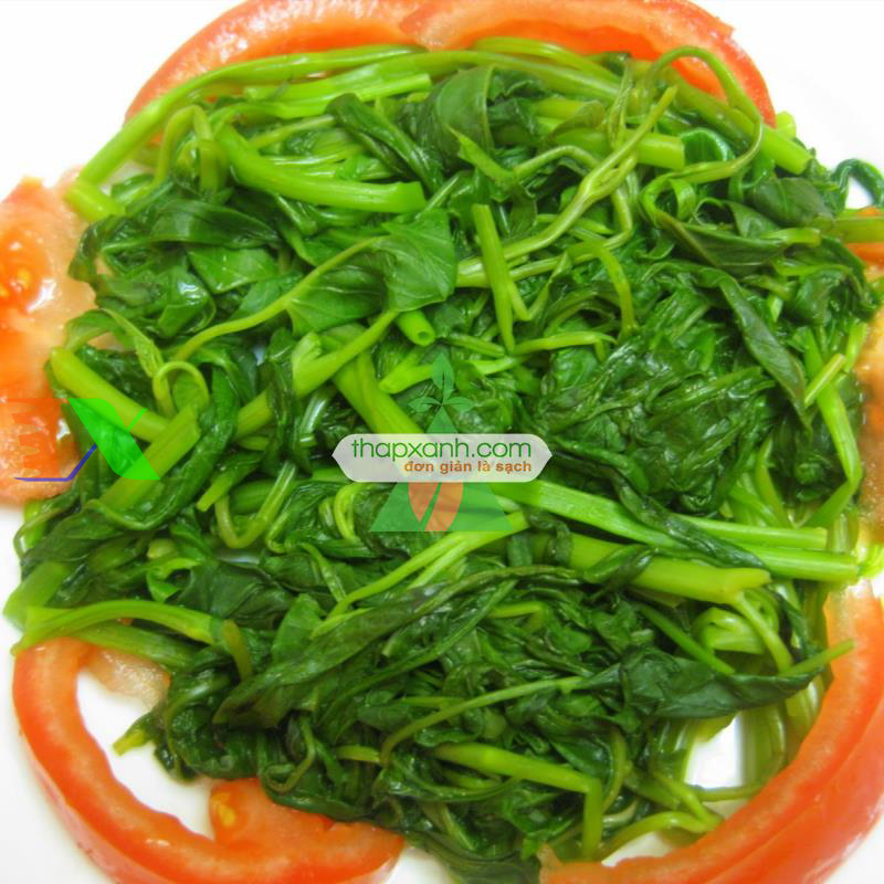 Hạt giống Rau Muống Thái Lan