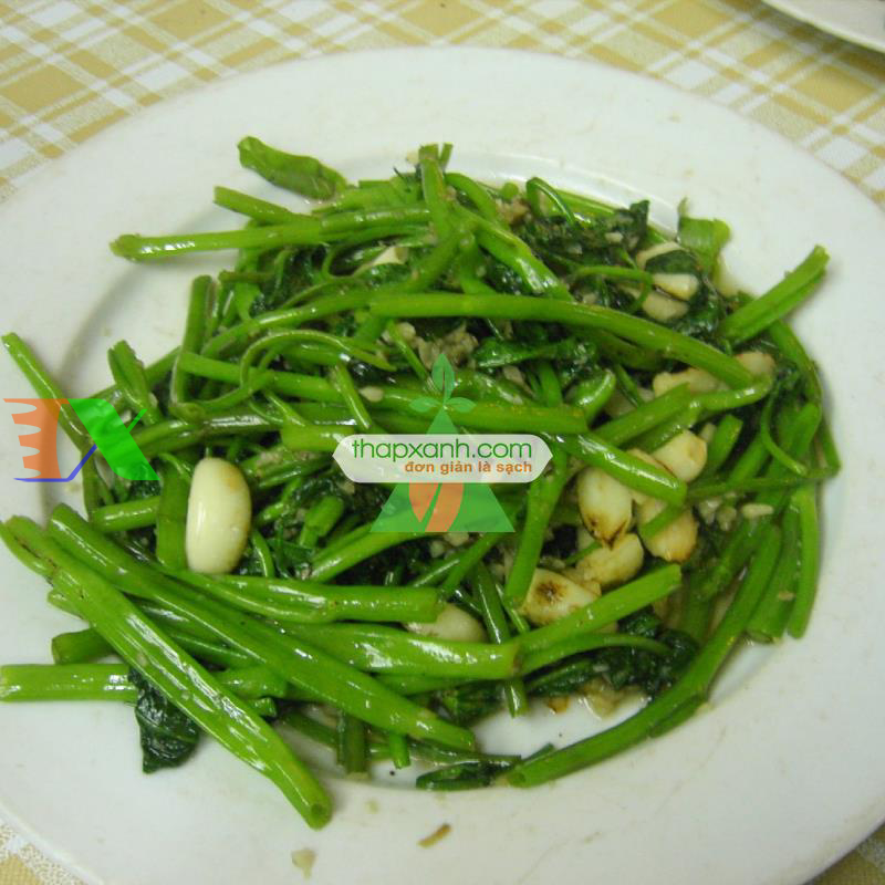 Hạt giống Rau Muống Thái Lan