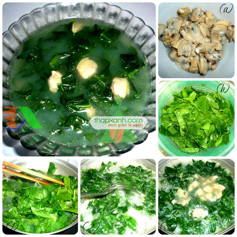 Hạt giống rau Mùng Tơi (Mồng tơi)