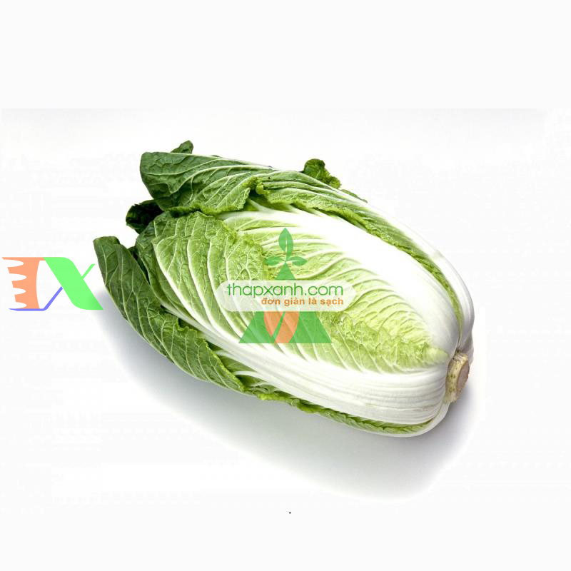 Hạt giống Cải Thảo (Nga)