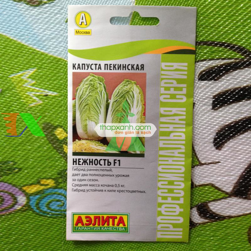 Hạt giống Cải Thảo (Nga)