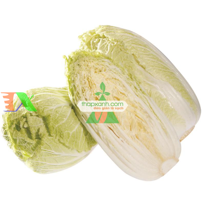 Hạt giống Cải Thảo (VN)