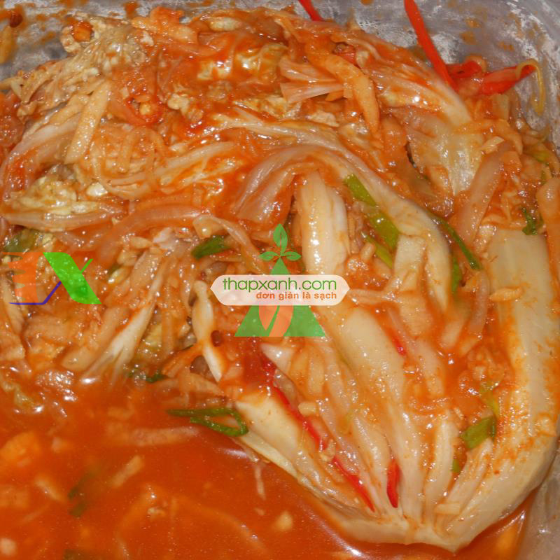 Hạt giống Cải Thảo (VN)