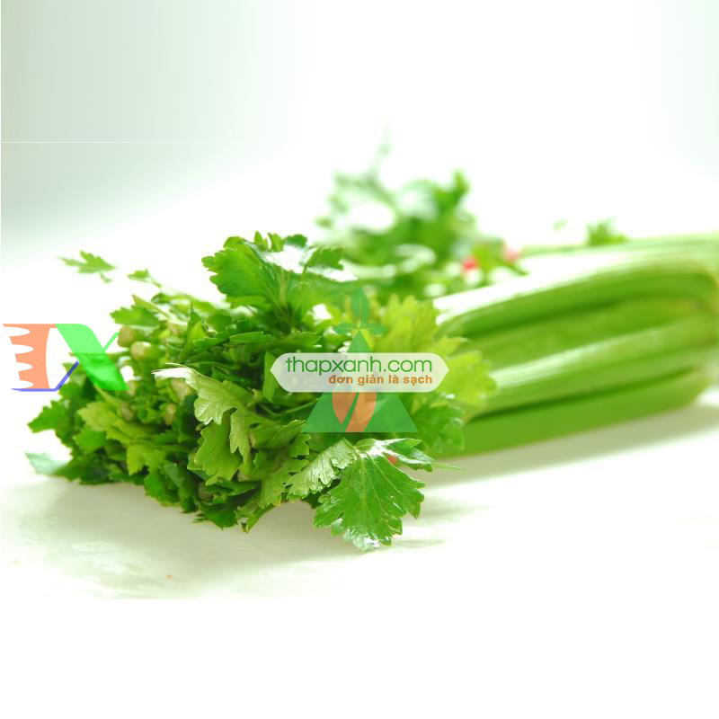 Hạt giống rau Cần Tây