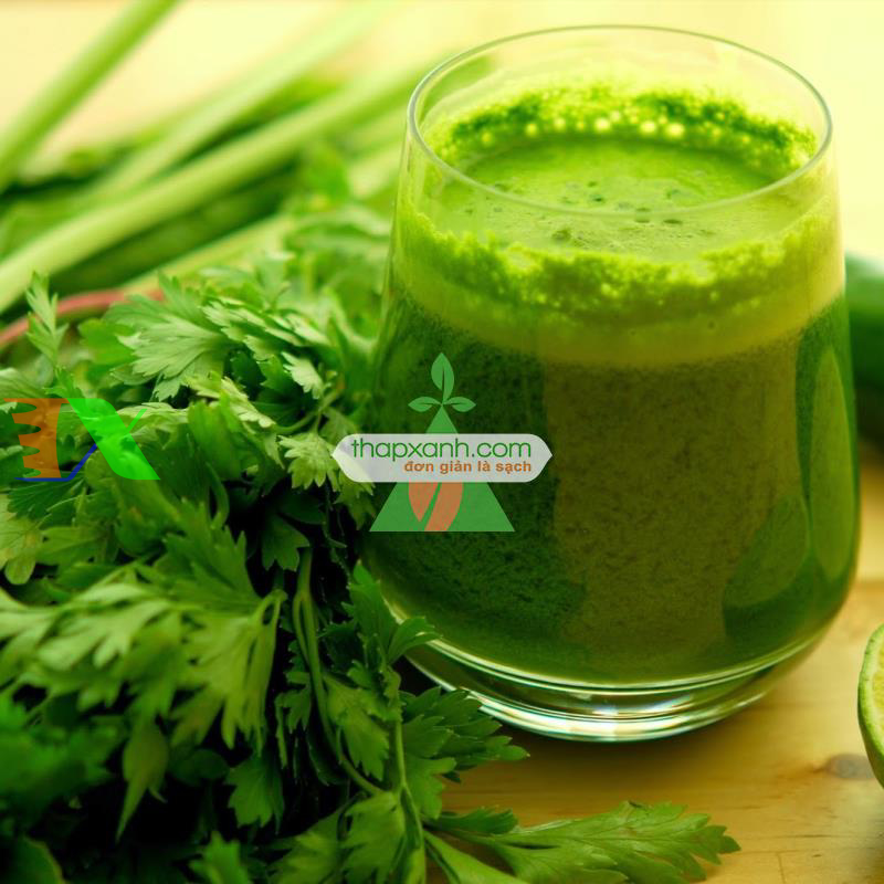 Hạt giống rau Cần Tây