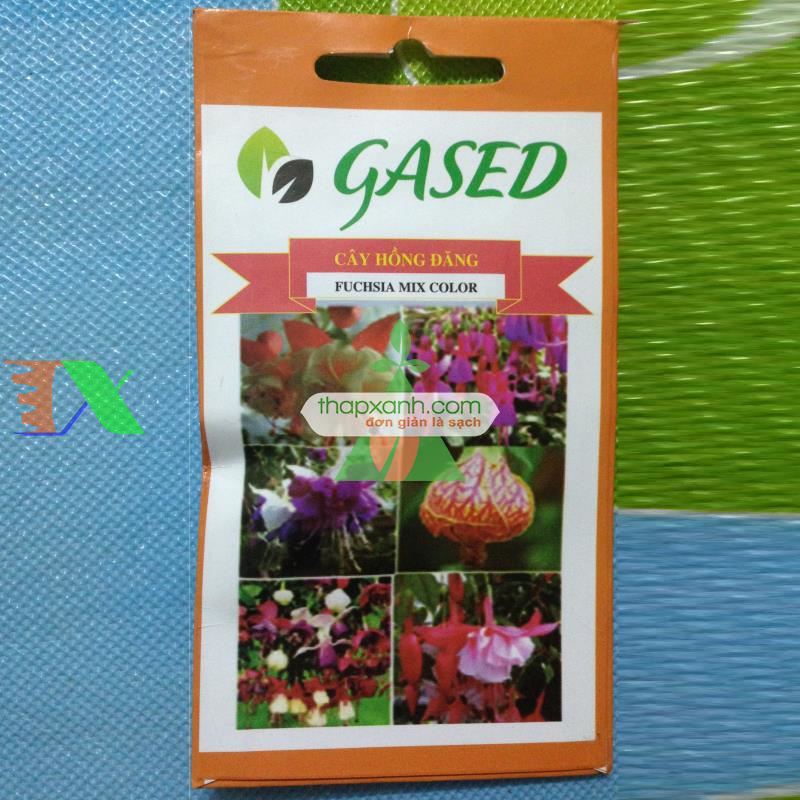 Hạt giống hoa Lồng Đèn (hoa Vân Anh, hoa Hồng Đăng)