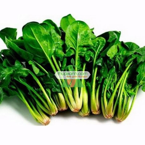 Picture of Hạt giống rau Cải Bó Xôi (rau Chân Vịt, BiNa)