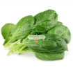 Picture of Hạt giống rau Cải Bó Xôi (rau Chân Vịt, BiNa)