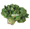 Picture of Hạt giống rau Cải Bó Xôi (rau Chân Vịt, BiNa)