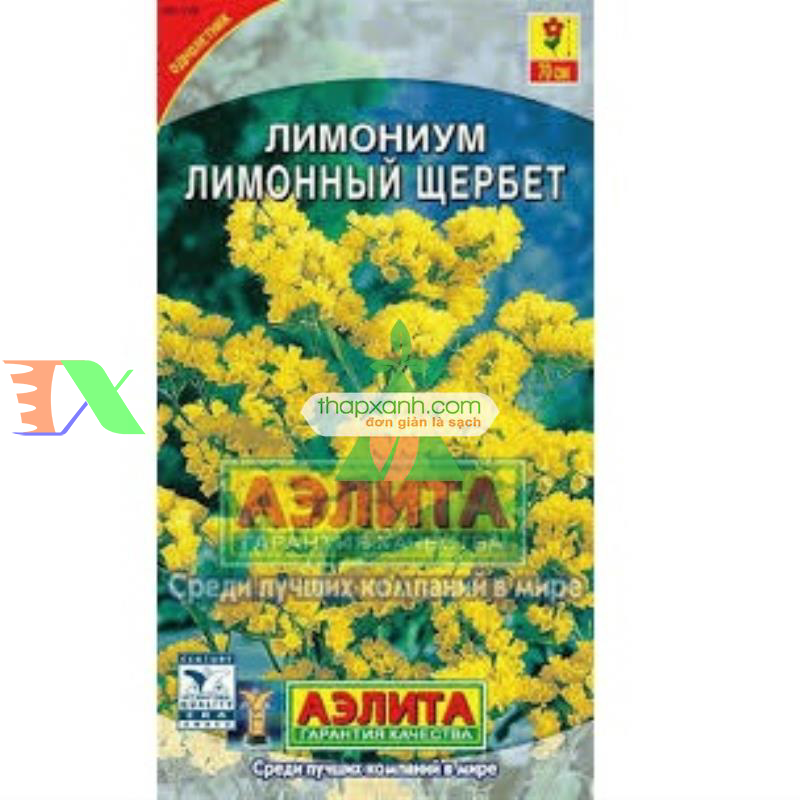 Hạt giống hoa SaLem vàng