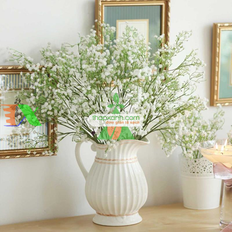 Hạt giống Hoa Baby (trắng)