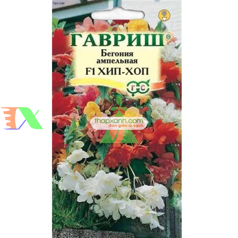 Hạt giống hoa Thu Hải Đường rủ mix (Nga)