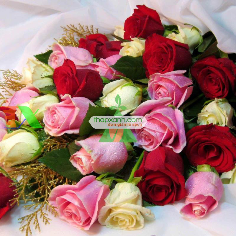 Hạt giống hoa Hồng mix (Nga)