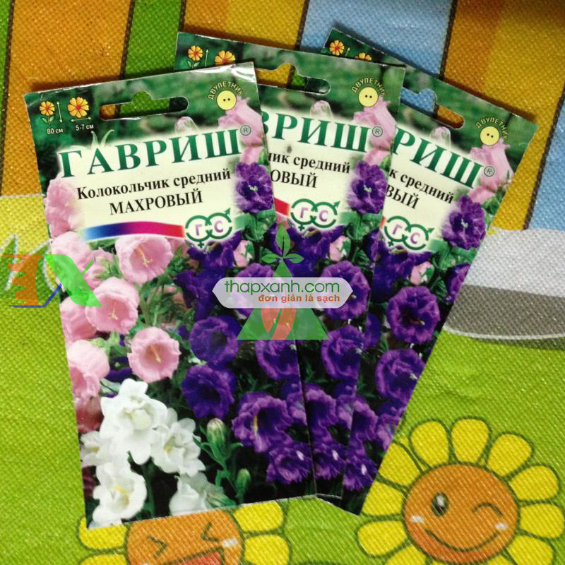 Hạt giống Hoa Chuông mix (Nga)