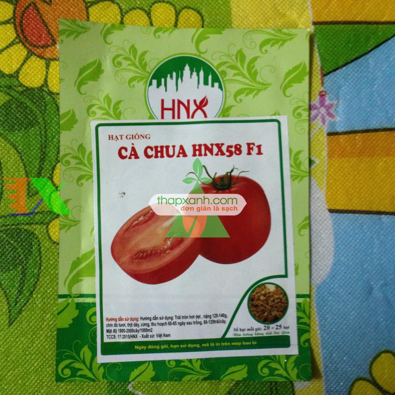 Hạt giống Cà Chua Đỏ