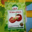 รูปภาพของ Hạt giống Cà Chua Đỏ