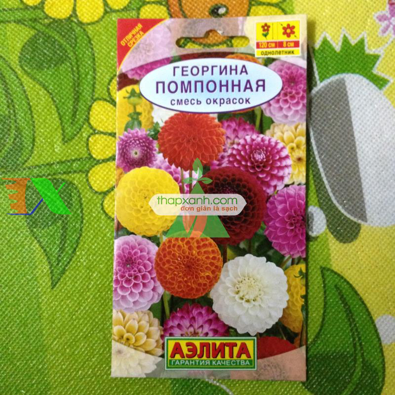 Hạt giống hoa Thược Dược mix