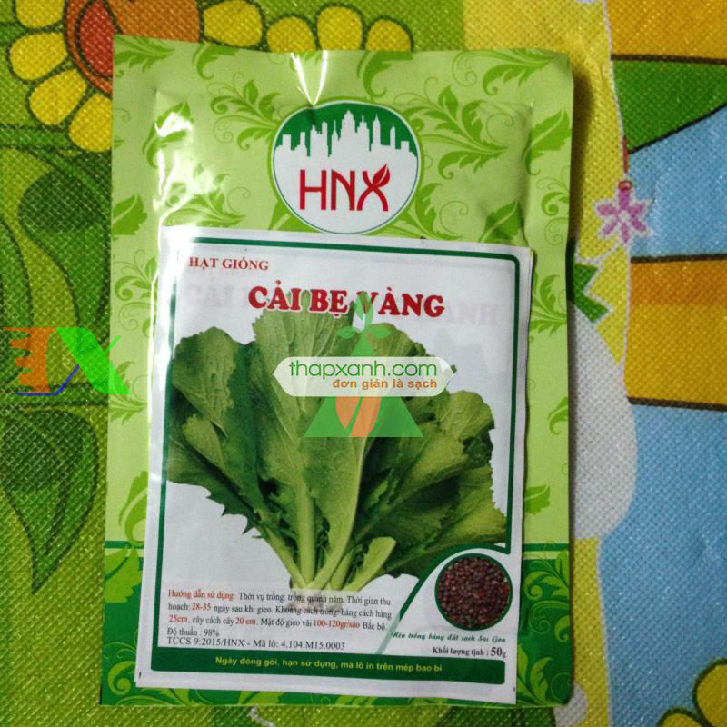 Hạt giống rau Cải Bẹ Vàng (Cải bẹ xanh)