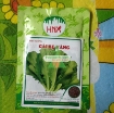 รูปภาพของ Hạt giống rau Cải Bẹ Vàng (Cải bẹ xanh)