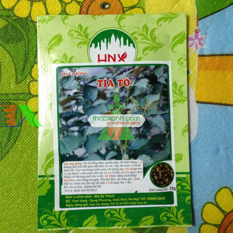 Hạt giống Rau Tía Tô