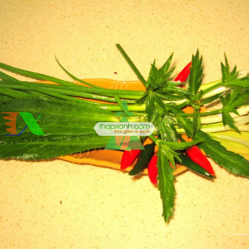 Hạt giống rau Mùi Tàu (Ngò Gai)