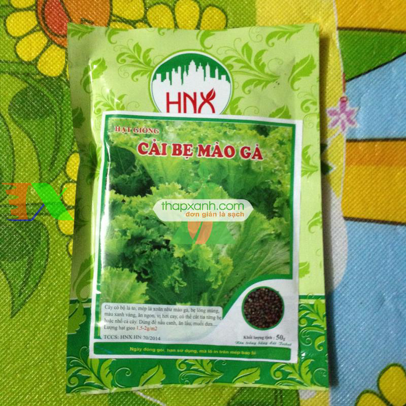 Hạt giống rau Cải Bẹ Mào Gà