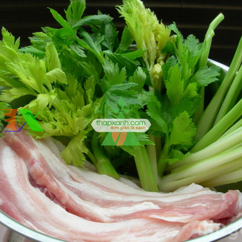 Hạt giống rau Cần Tây (Nga)