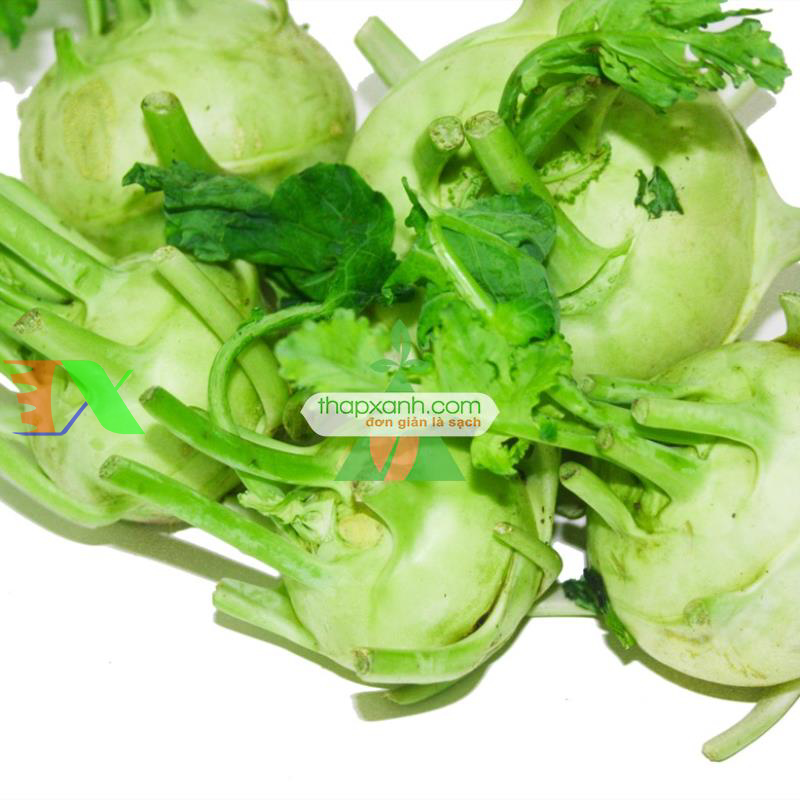 Hạt giống Củ Su Hào (Xu Hào)