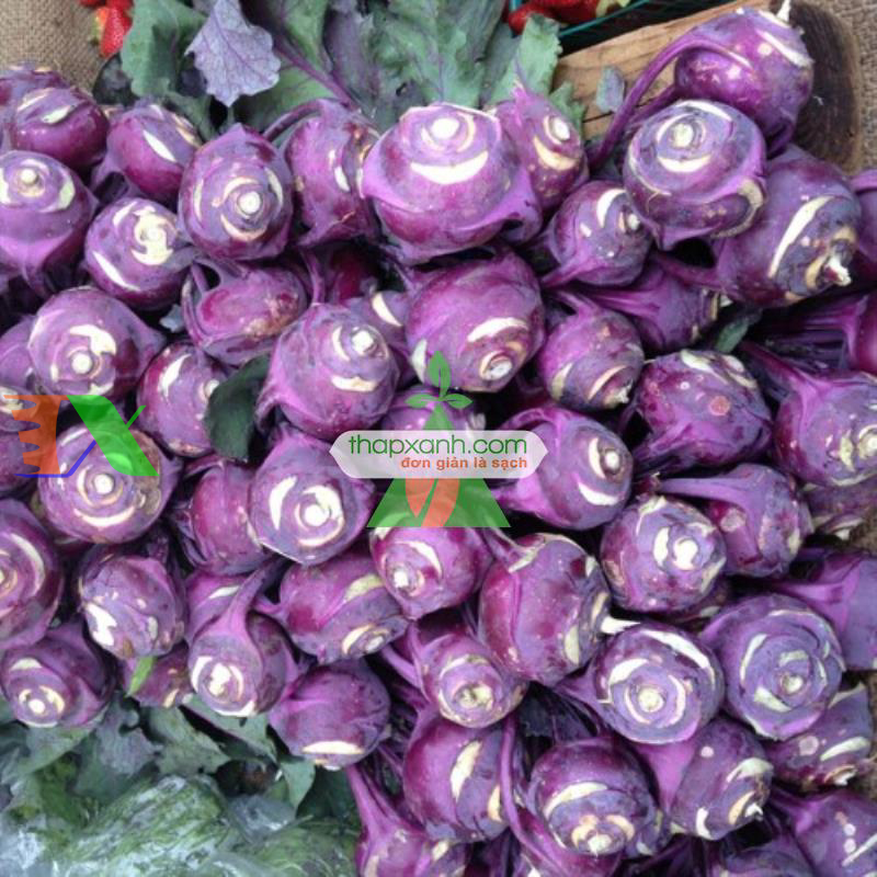 Hạt giống Củ Su Hào (Xu Hào) tím