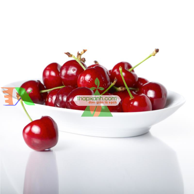 Hạt giống Quả Anh Đào (Cherry)