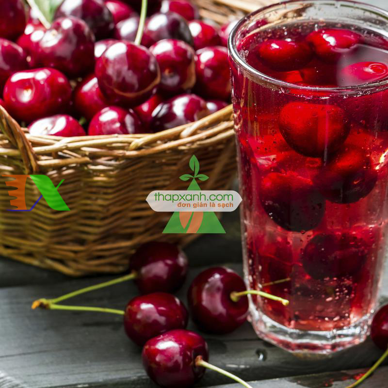 Hạt giống Quả Anh Đào (Cherry)