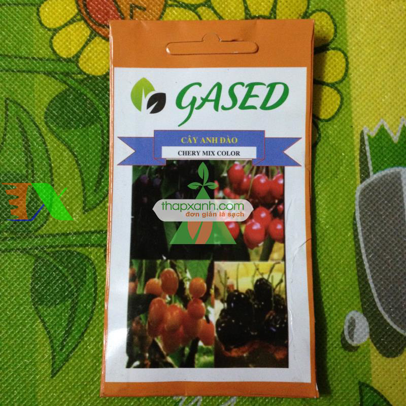Hạt giống Quả Anh Đào (Cherry)