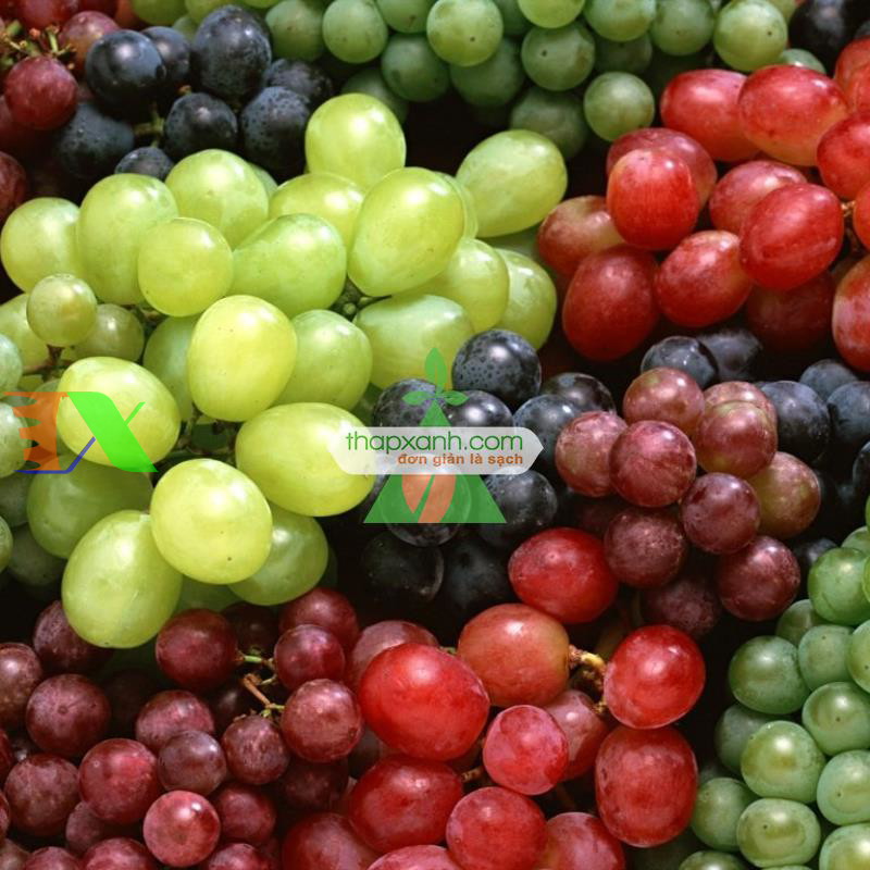 Hạt giống Nho mix
