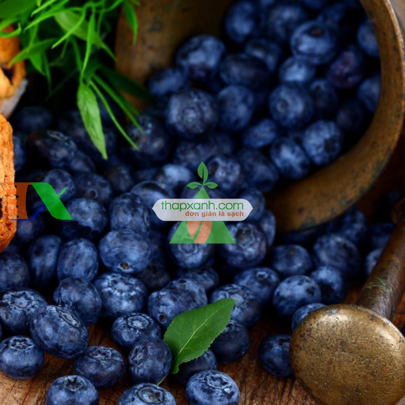 Hạt giống Quả Việt Quất