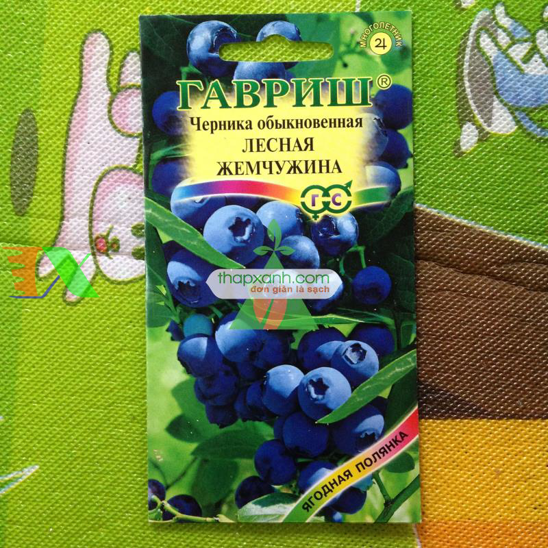 Hạt giống Quả Việt Quất