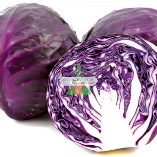 Gambar Hạt giống Bắp cải tím (Việt Nam)