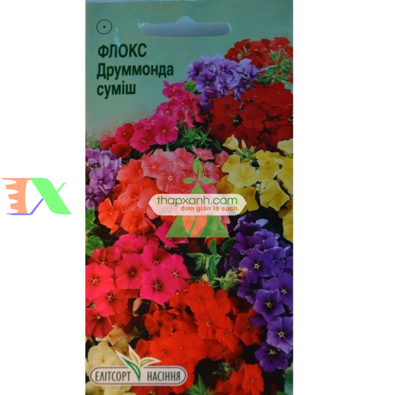 Hạt giống hoa Thanh Trúc mix