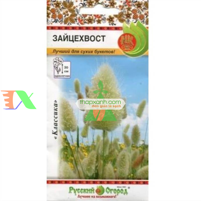 Hạt giống Cỏ Đuôi Thỏ