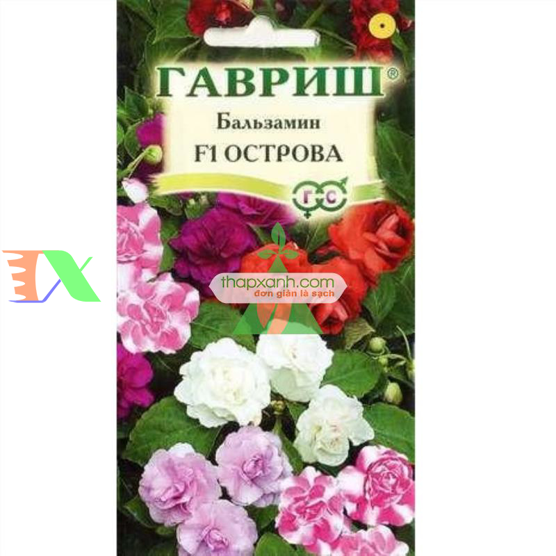 Hạt giống hoa Ngọc Thảo (Mai địa thảo) kép mix