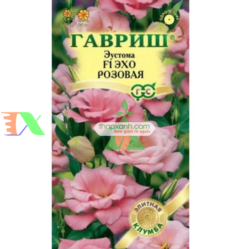 Hạt giống Hoa Cát Tường (phớt hồng)