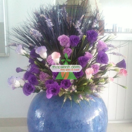 Ảnh của Hạt giống Hoa Cát Tường (xanh tím) Nga