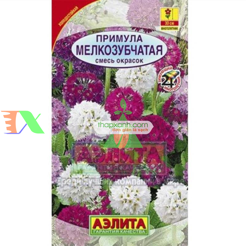 Hạt giống hoa Ngọc Trâm hình cầu mix