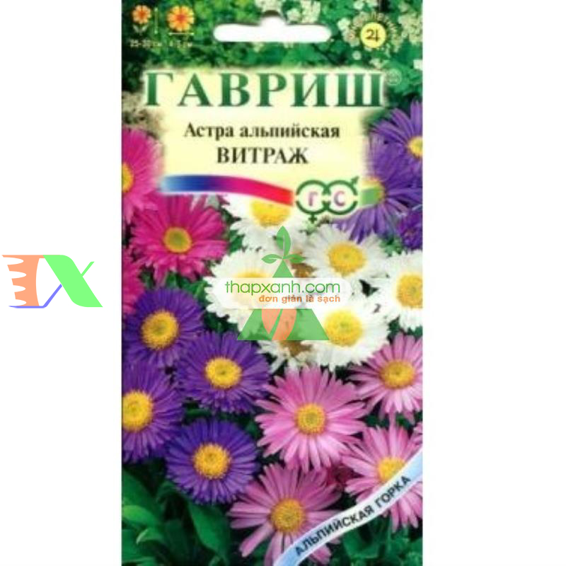 Hạt giống hoa Cúc Anh Thảo mix