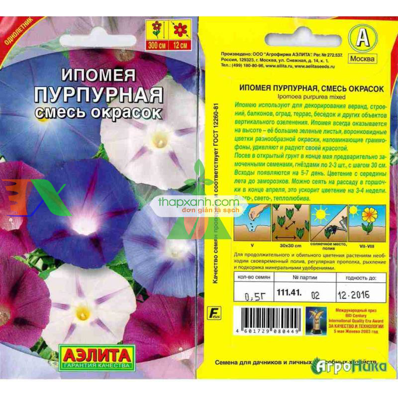 Hạt giống hoa Bìm Bìm mix