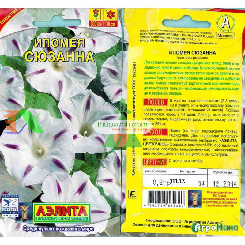 Hạt giống hoa Bìm Bìm trắng