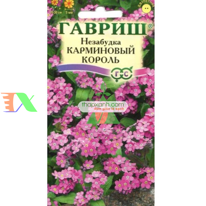 Hạt giống Hoa Lưu Ly (Forget Me Not) hồng