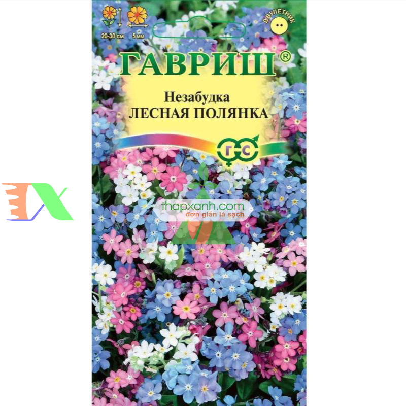 Hạt giống Hoa Lưu Ly (Forget Me Not) mix