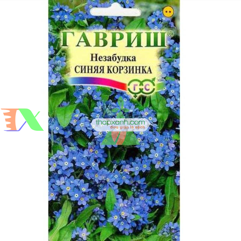Hạt giống Hoa Lưu Ly (Forget Me Not) xanh
