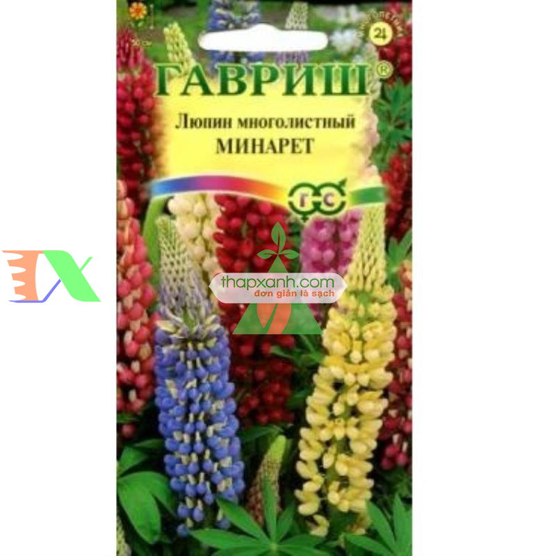 Hạt giống Hoa Lupine mix